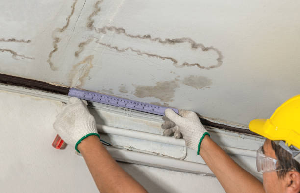 Reliable Water Damage contractor in Concord, CA by Water Damage Irwin